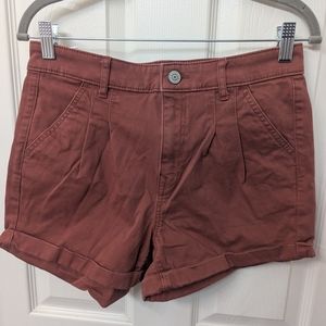 Express Casual Shorts in Brown
